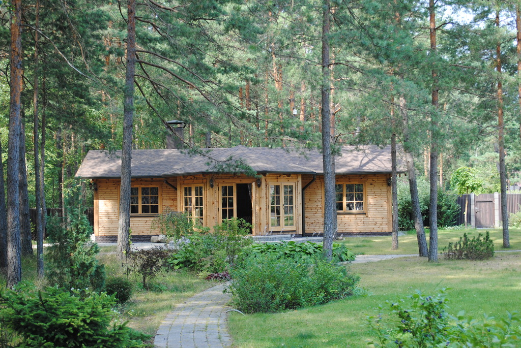 Ngôi nhà nhỏ xinh xắn trong rừng